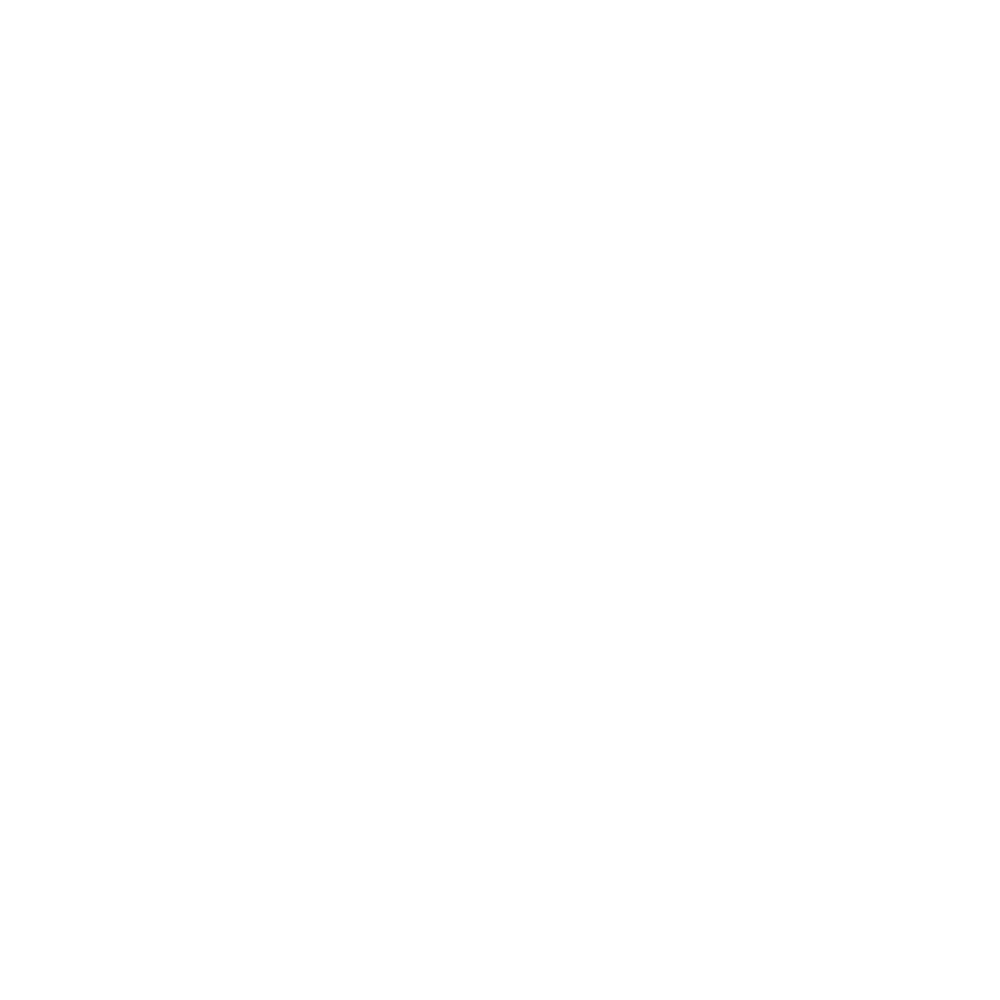Wordpress logotype simplified