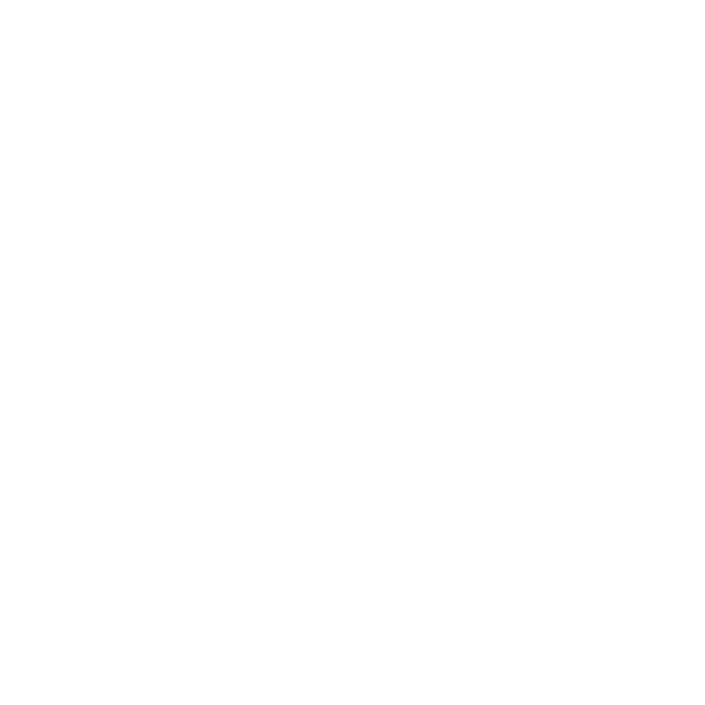 Wordpress logotype simplified